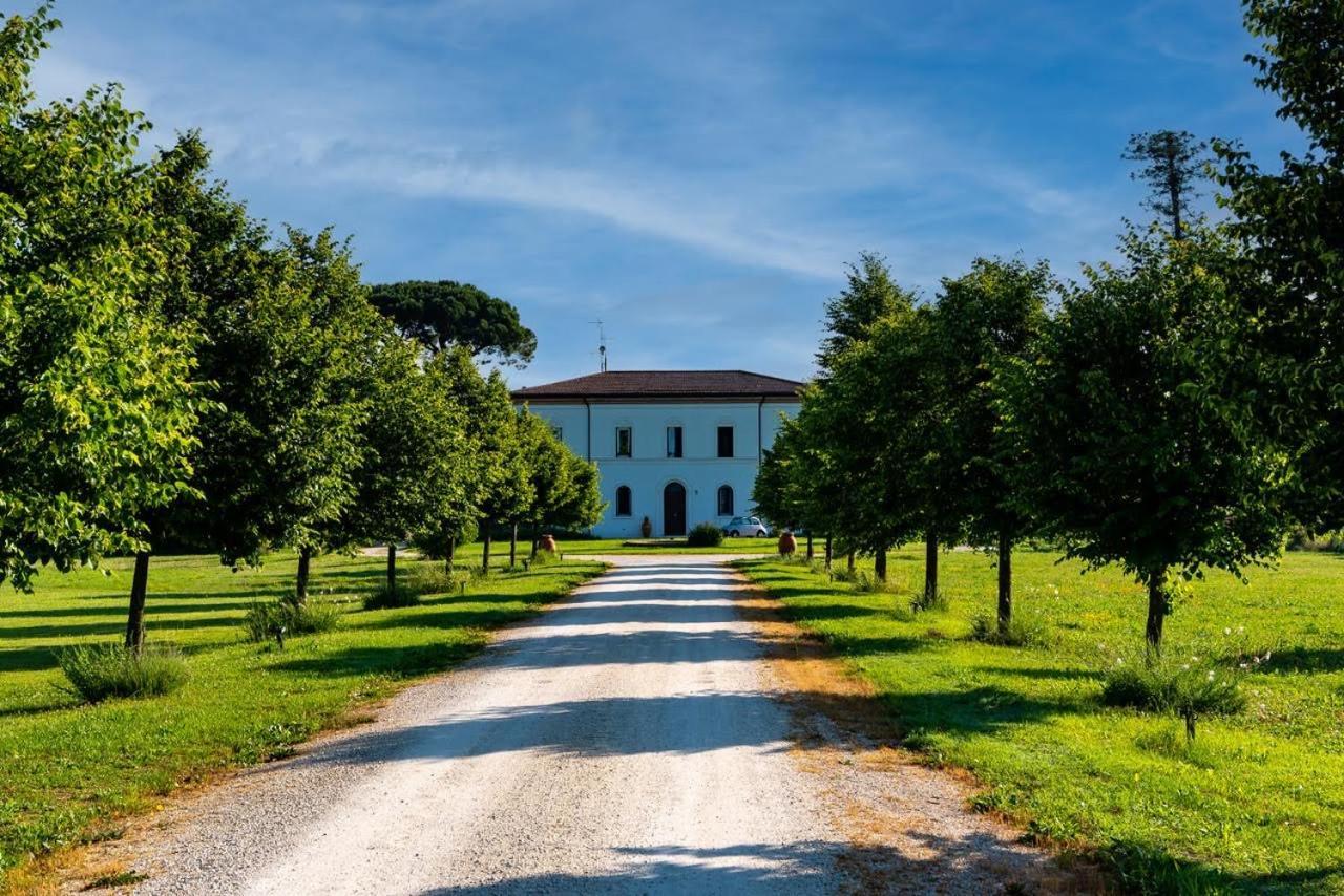 Villa Archi Faenza Exterior photo