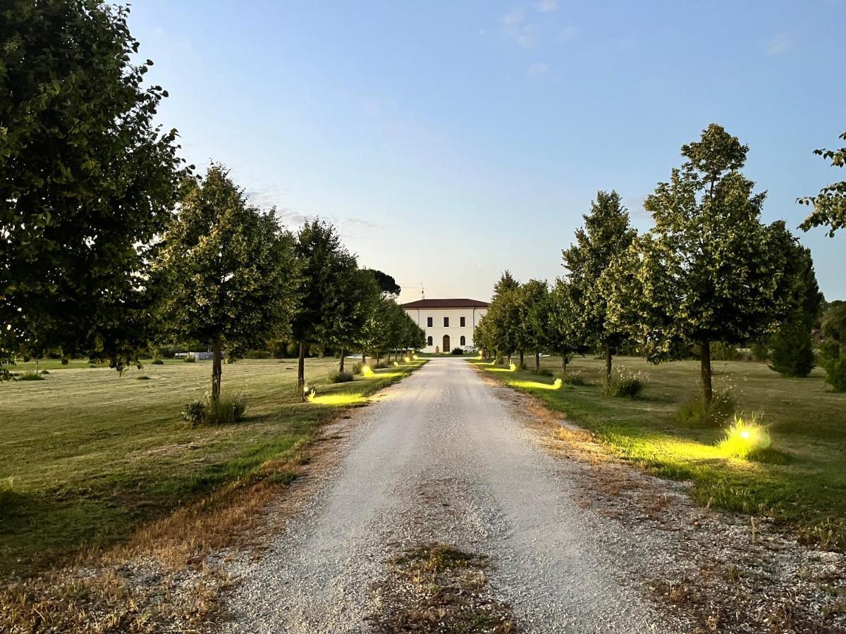 Villa Archi Faenza Exterior photo